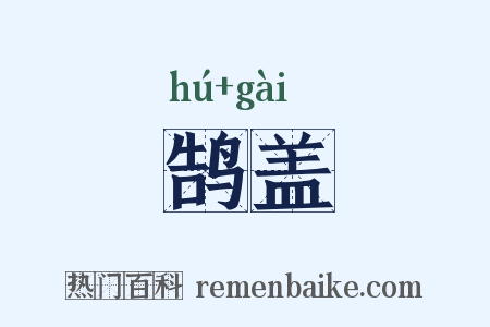 鹄盖是什么意思的图片